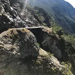 Alp Line